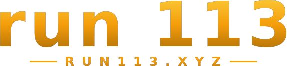 run 113 logo